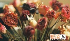 如何做干花 干花如何制作