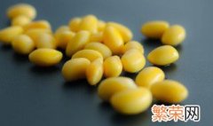 黄豆苗的家庭种植方法 黄豆苗如何种植