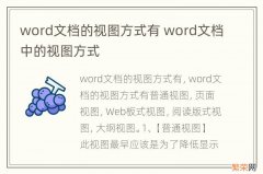 word文档的视图方式有 word文档中的视图方式