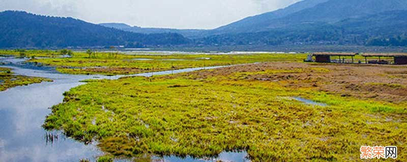 为什么湿地被称为地球之肾 湿地被称为地球之肾的原因