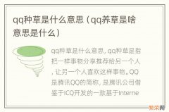 qq养草是啥意思是什么 qq种草是什么意思