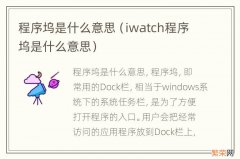 iwatch程序坞是什么意思 程序坞是什么意思