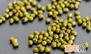 水培绿豆盆栽怎么种植视频 水培绿豆盆栽怎么种