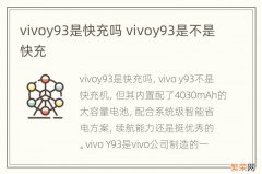 vivoy93是快充吗 vivoy93是不是快充