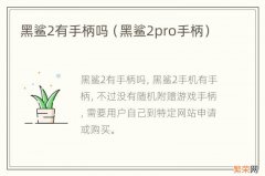 黑鲨2pro手柄 黑鲨2有手柄吗