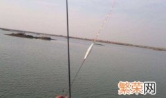 浮漂怎么选 应该遵循以下几点