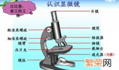 使用显微镜时的对焦方法 使用显微镜时的对焦方法是什么