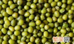 绿豆种植方法 绿豆如何种植