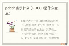PDCCH是什么意思 pdcch表示什么