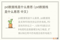 pd数据线是什么意思 中文 pd数据线是什么意思