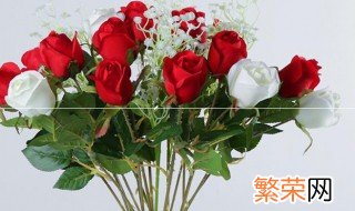 冬季迷你玫瑰花种植方法和注意事项 迷你玫瑰花冬天怎么养