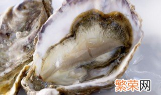 牡蛎的简介中国药典中医世家 牡蛎的简介