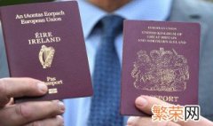 护照类型p是什么意思 护照类型p是因私护照