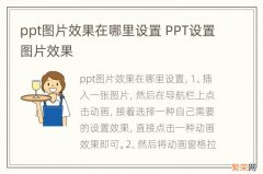 ppt图片效果在哪里设置 PPT设置图片效果