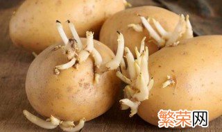 土豆防止发芽的方法 分别有5种