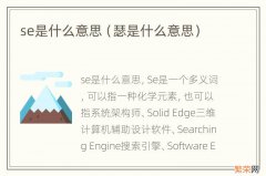瑟是什么意思 se是什么意思