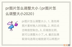 pr图片怎么调整大小2020 pr图片怎么调整大小