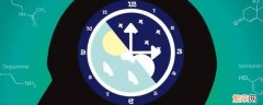 生物钟睡眠时间是几点到几点 生物钟是几点到几点