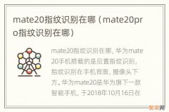 mate20pro指纹识别在哪 mate20指纹识别在哪