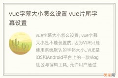 vue字幕大小怎么设置 vue片尾字幕设置