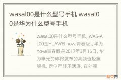 wasal00是什么型号手机 wasal00是华为什么型号手机