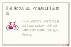 什么叫pd充电口 PD充电口什么意思