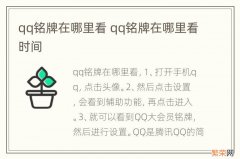 qq铭牌在哪里看 qq铭牌在哪里看时间