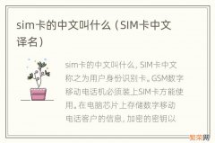 SIM卡中文译名 sim卡的中文叫什么