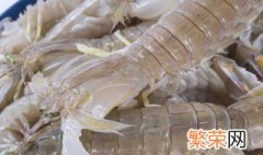 生皮皮虾怎么保存过夜 活皮皮虾怎么保存过夜