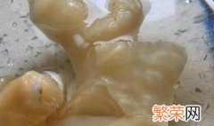 泡发好的鱼胶怎么保存 泡发好的鱼胶怎么保存时间长