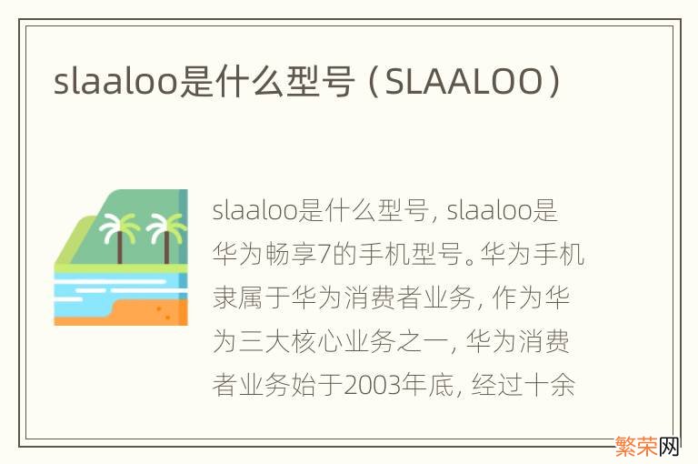 SLAALOO slaaloo是什么型号