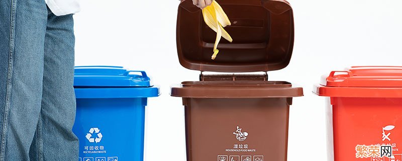 干垃圾和湿垃圾的区别 湿垃圾和干垃圾有哪些