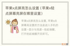 苹果x轻点屏幕亮屏在哪里设置 苹果x点屏亮怎么设置