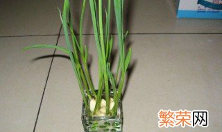 家庭大蒜种植方法 需要什么土呢