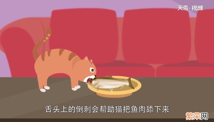 猫吃鱼会卡刺吗 猫吃鱼会被鱼刺卡到吗