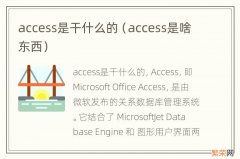 access是啥东西 access是干什么的