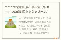 华为mate20辅助圆点点怎么调出来 mate20辅助圆点在哪设置