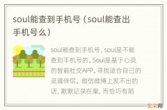 soul能查出手机号么 soul能查到手机号