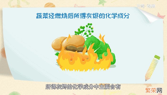 什么是碱性蔬菜 碱性蔬菜是什么