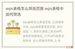 wps表格怎么筛选范围 wps表格中如何筛选