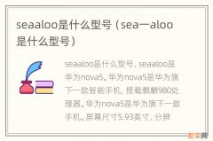 sea一aloo是什么型号 seaaloo是什么型号