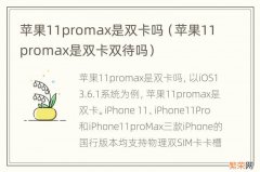 苹果11promax是双卡双待吗 苹果11promax是双卡吗