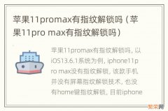 苹果11pro max有指纹解锁吗 苹果11promax有指纹解锁吗