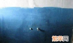 墙漆如何做防水 如何做墙漆防水