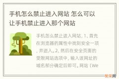 手机怎么禁止进入网站 怎么可以让手机禁止进入那个网站