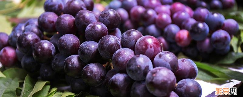 葡萄是热性还是凉性 经常吃葡萄有什么好处
