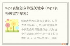 wps表格关键字搜索 wps表格怎么筛选关键字