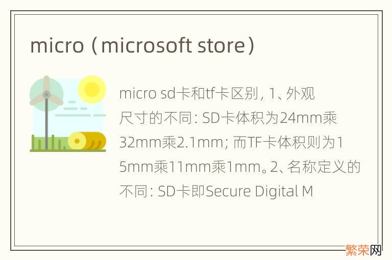 microsoft store micro