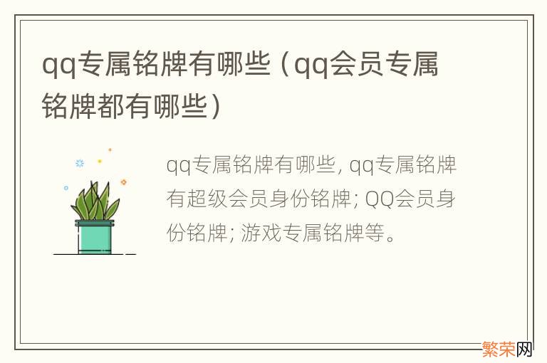 qq会员专属铭牌都有哪些 qq专属铭牌有哪些