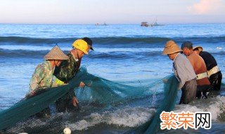 为什么夏天池塘里的鱼儿爱浮头 为什么夏天池塘里的鱼儿爱浮头浮尾